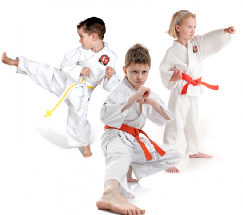 Karate Kid Karate Kid